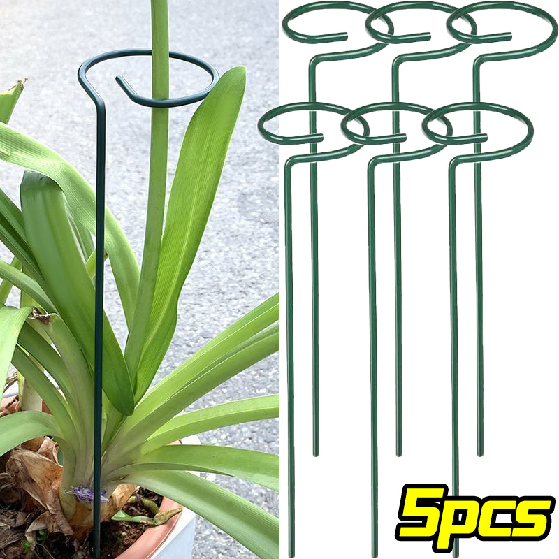 Florist Supp - 1/10 pçs suporte de jardim anel