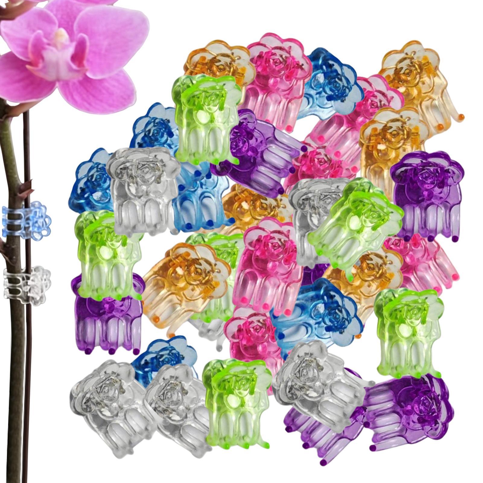 Florist Supp - Clipes para Orquídeas 60 Peças, Grampos