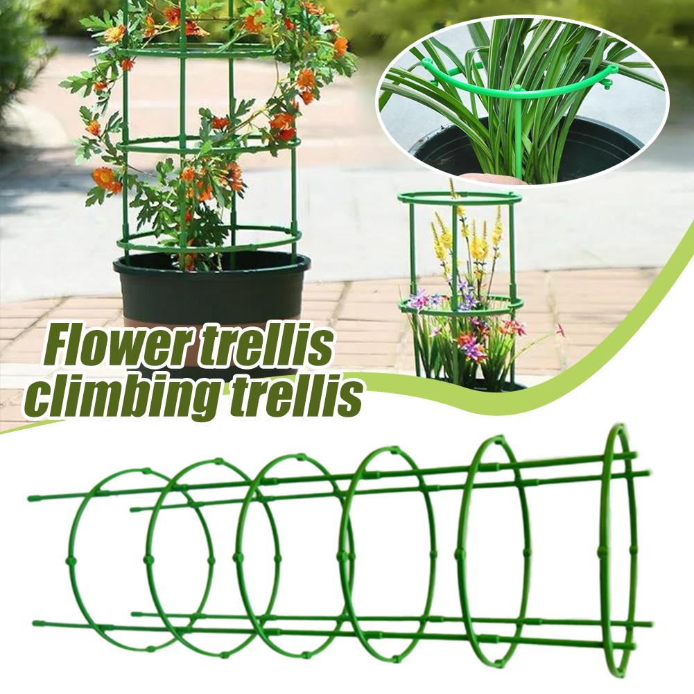 Florist Supp - Suporte para Tomateiros e Plantas Trepadeiras,