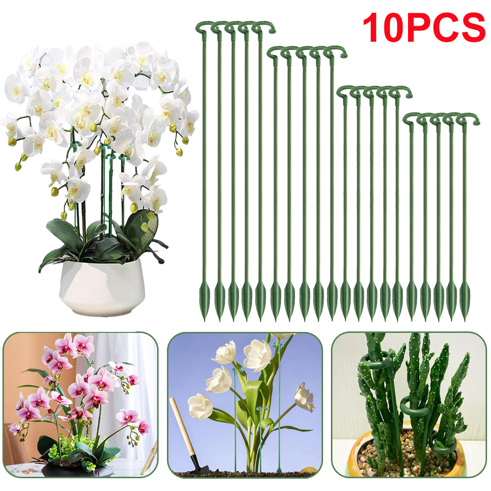 Florist Supp - Suportes para Plantas em Vaso (5/10