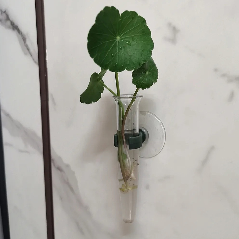 Tubos de Água Florais de 11cm, - Anda Florist Supply avaliação e preço