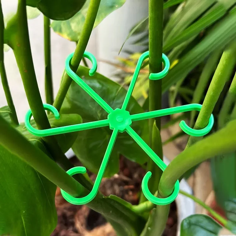 Flower Plant Stem Support Stak - Florist Supp avaliação e preço