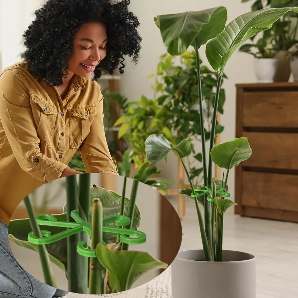 Flower Plant Stem Support Stak - Florist Supp avaliação e preço