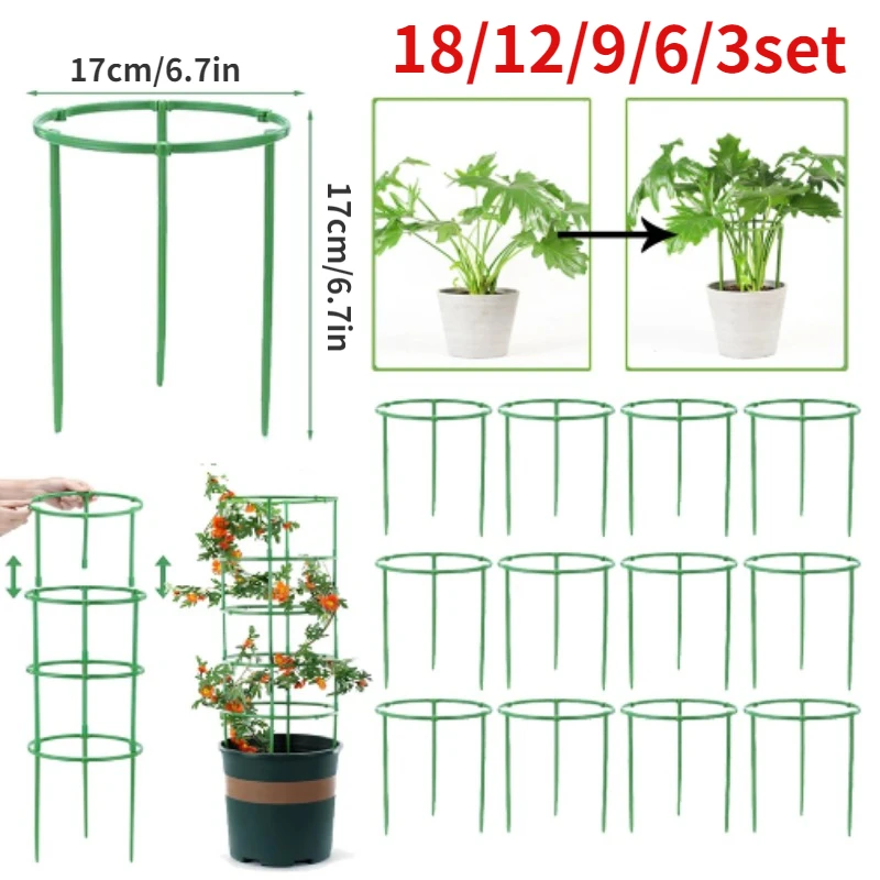 Gaiolas de tomate treliça colu - Florist Supp avaliação e preço
