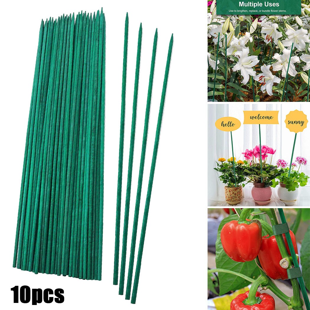 Suporte De Planta Verde Varas  - Florist Supp avaliação e preço