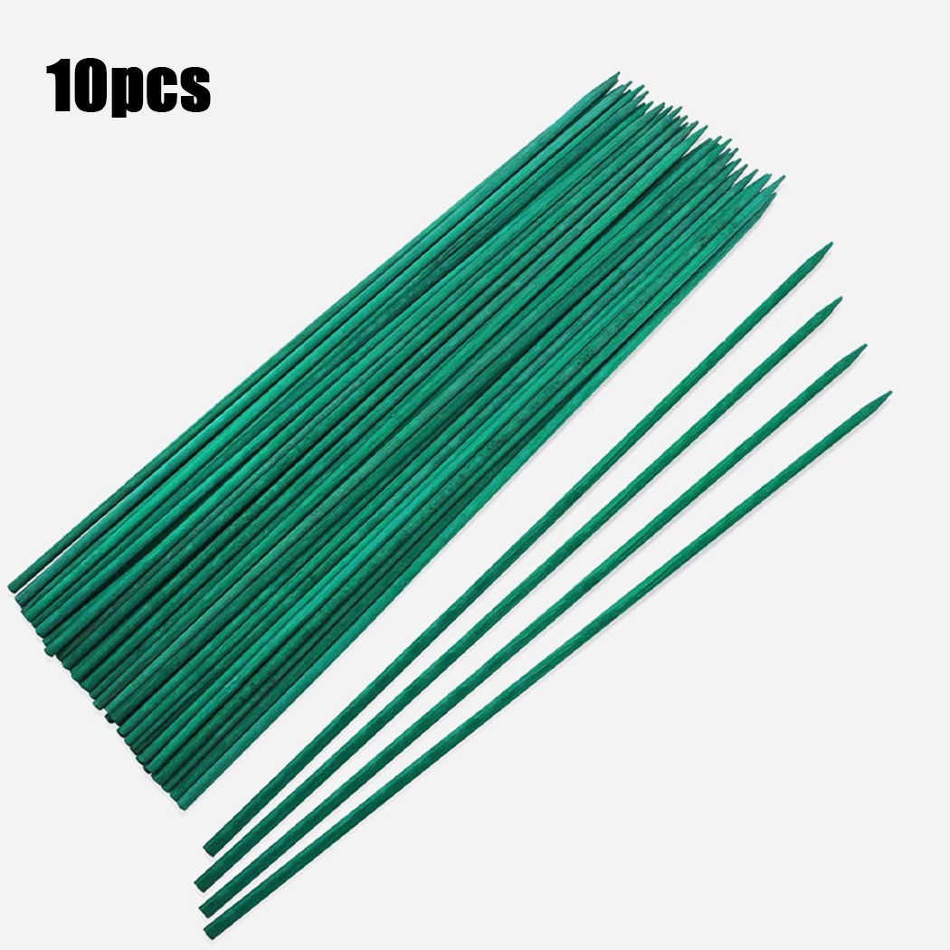 Suporte De Planta Verde Varas  - Florist Supp avaliação e preço