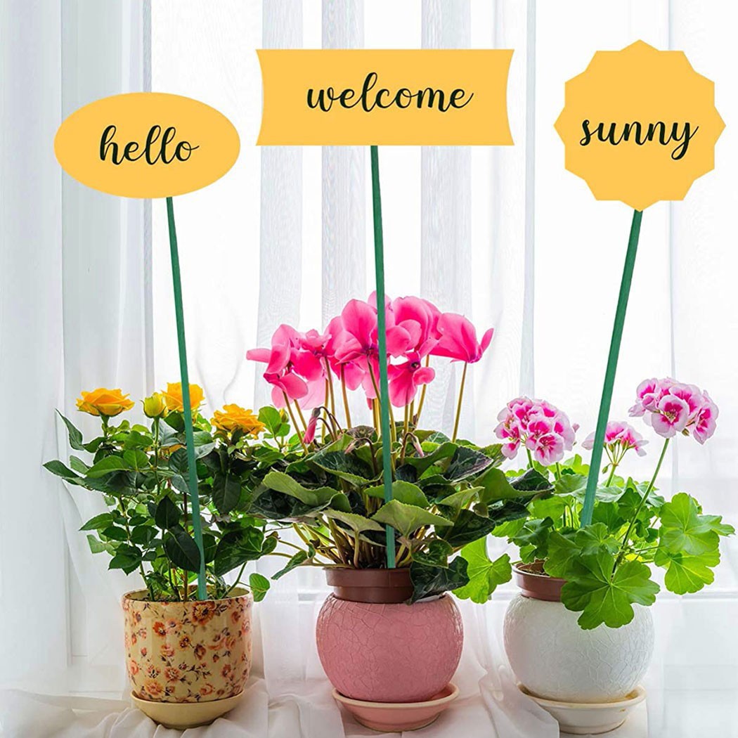 Suporte De Planta Verde Varas  - Florist Supp avaliação e preço