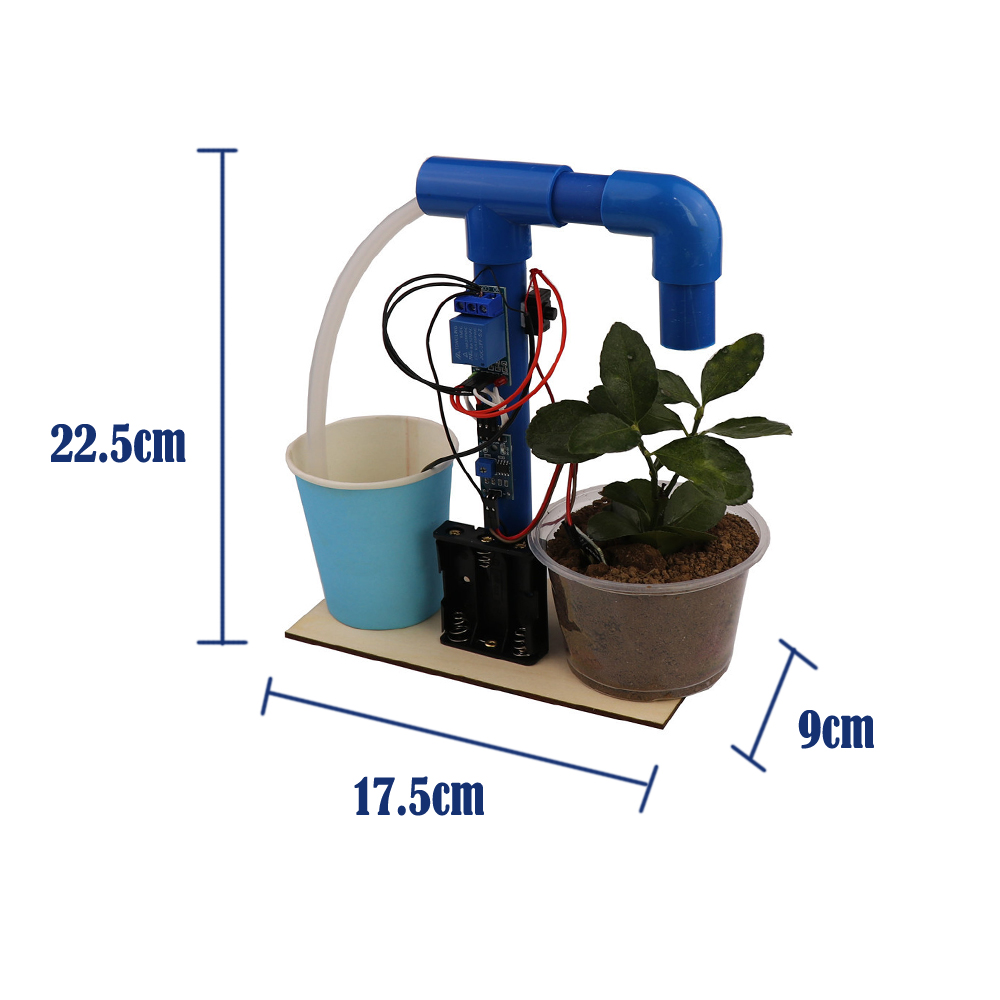 Science Toys for Kids, Science - Florist Supp avaliação e preço