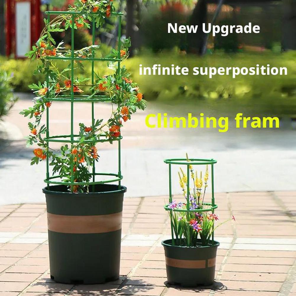 Suporte para Tomateiros e Plan - Florist Supp avaliação e preço