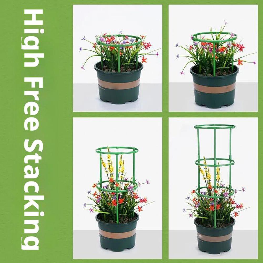 Suporte para Tomateiros e Plan - Florist Supp avaliação e preço