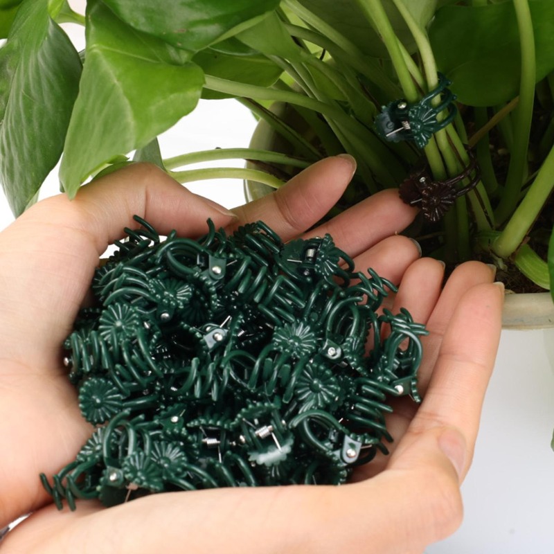Clipes de Suporte para Plantas - Florist Supp avaliação e preço