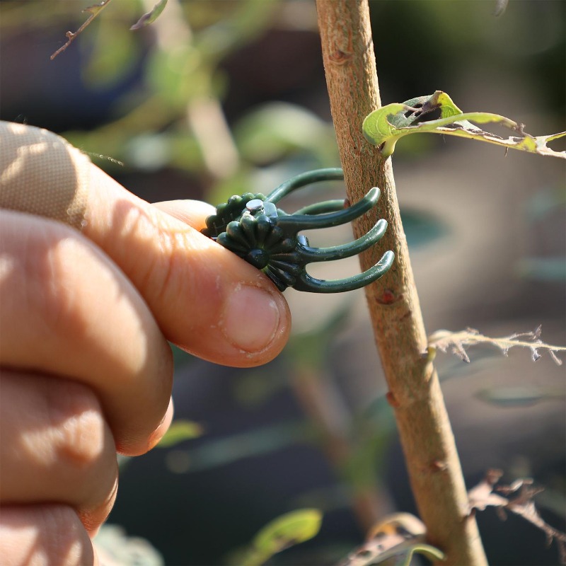 Clipes de Suporte para Plantas - Florist Supp avaliação e preço