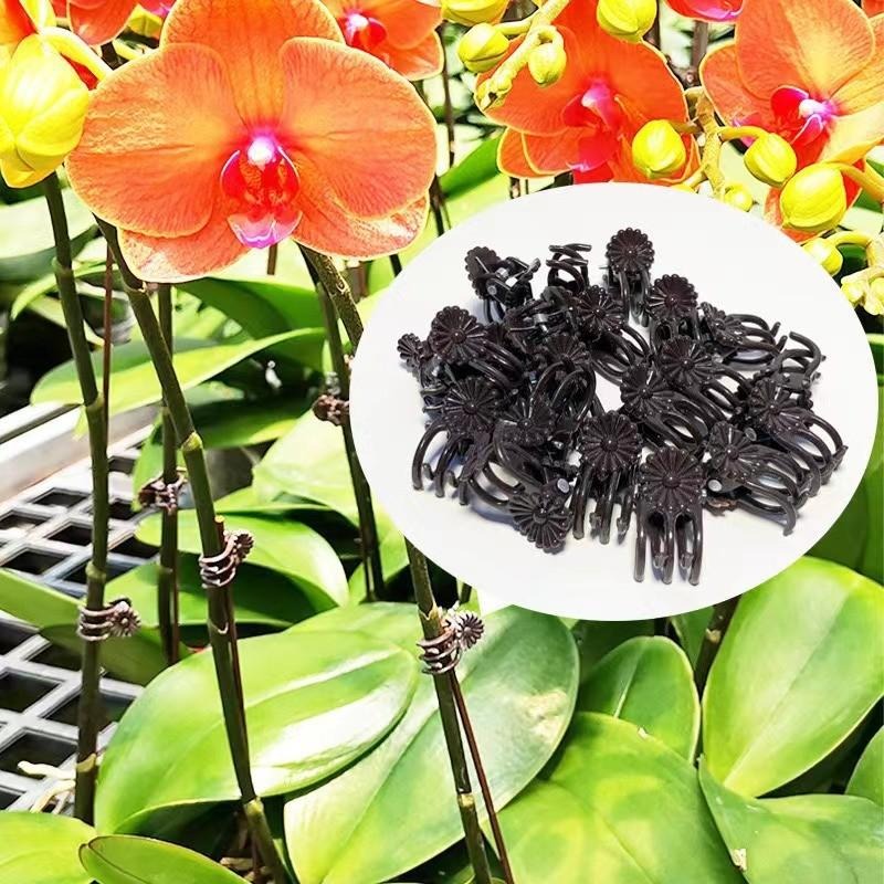 Clipes de Suporte para Plantas - Florist Supp avaliação e preço