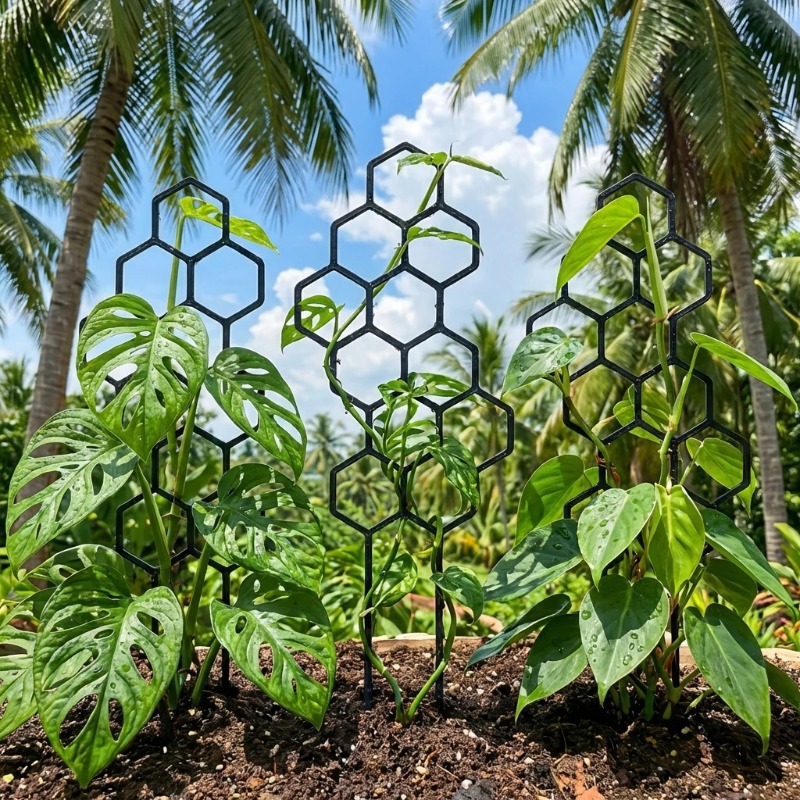 2/4 Peças Suporte para Plantas - Florist Supp avaliação e preço
