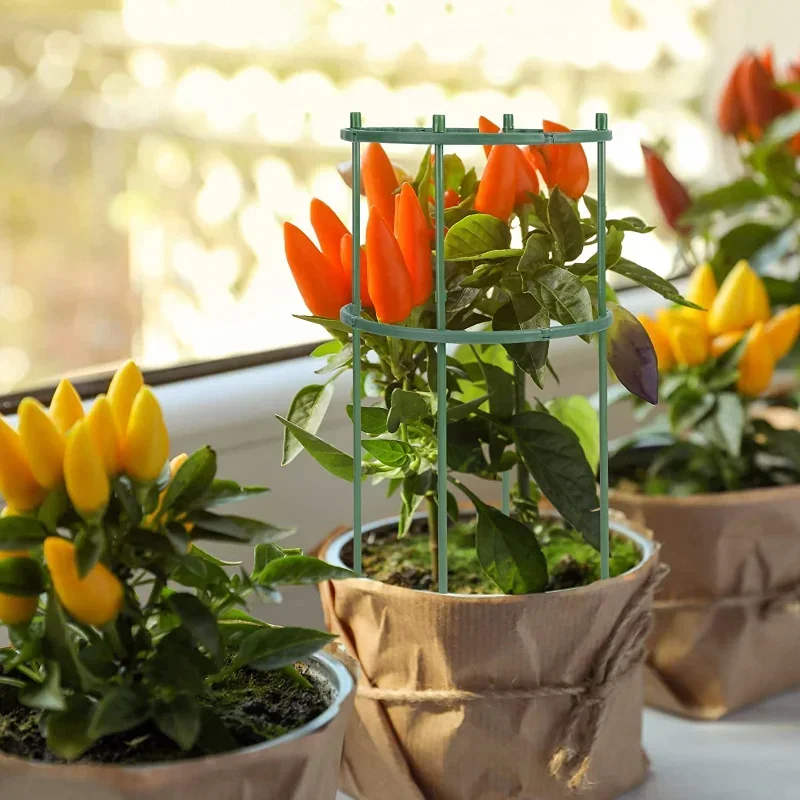 Suporte de plástico para plant - Florist Supp avaliação e preço