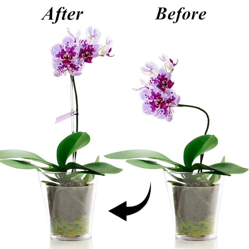 Estaca de Suporte Transparente - Florist Supp avaliação e preço