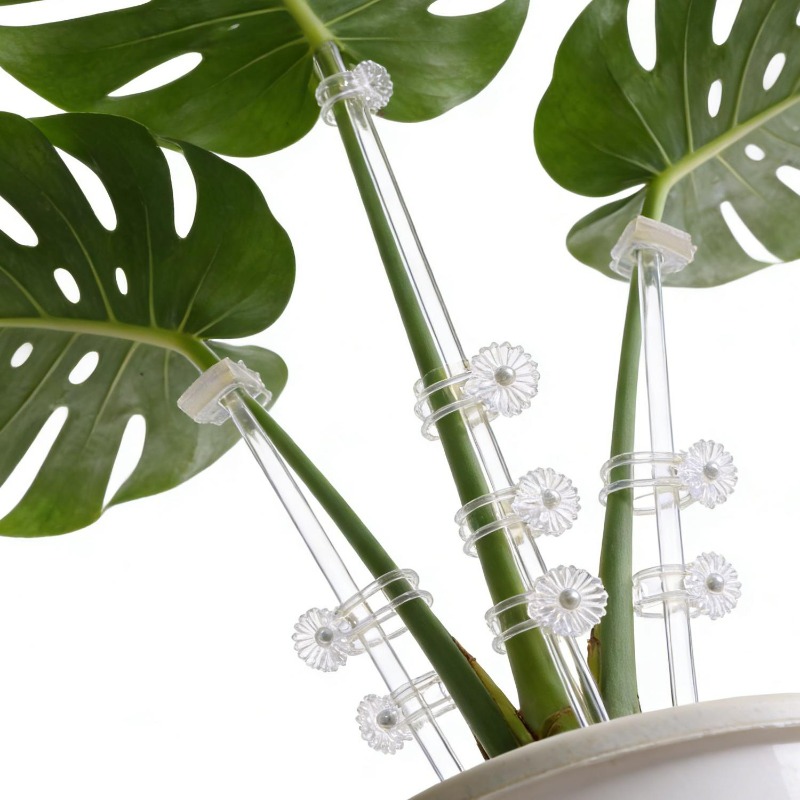 Estaca de Suporte Transparente - Florist Supp avaliação e preço