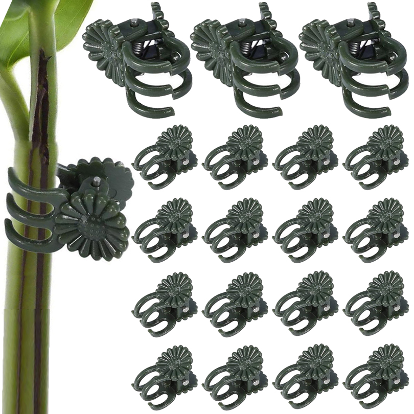 Plant Clips para Enxerto, Vine - Florist Supp avaliação e preço
