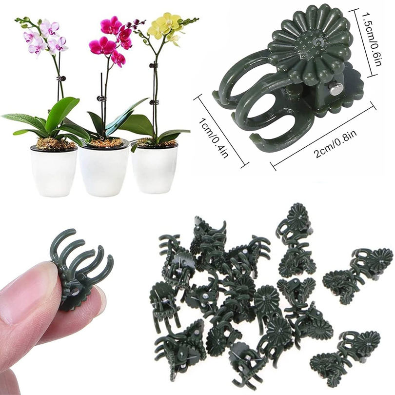 Plant Clips para Enxerto, Vine - Florist Supp avaliação e preço