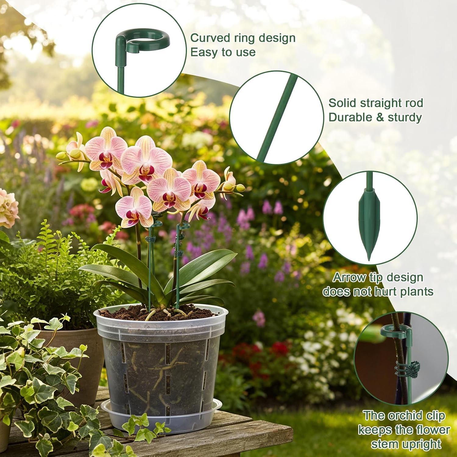 Suportes para Plantas em Vaso  - Florist Supp avaliação e preço
