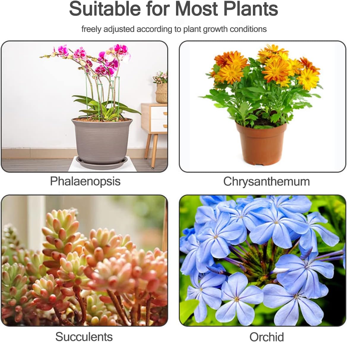 Suportes para Plantas em Vaso  - Florist Supp avaliação e preço