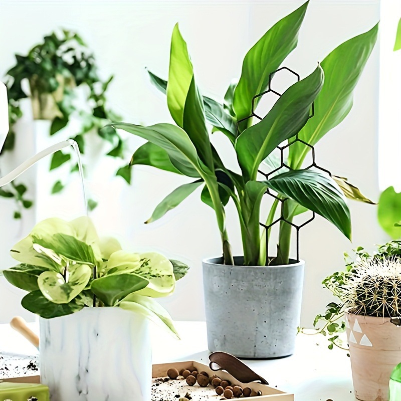 1PC Treliça para Plantas com D - Florist Supp avaliação e preço