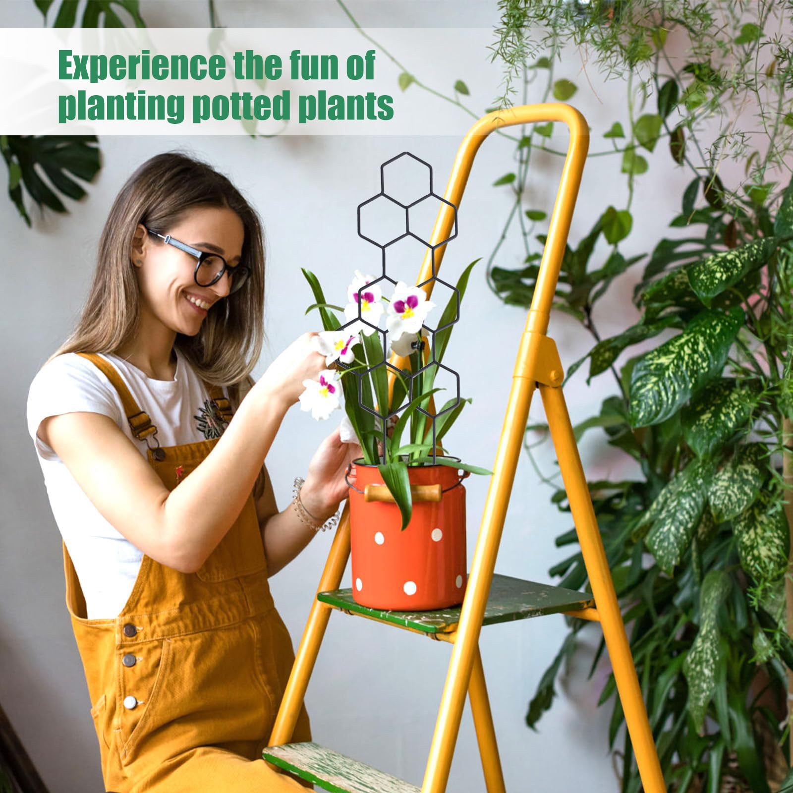 1PC Treliça para Plantas com D - Florist Supp avaliação e preço